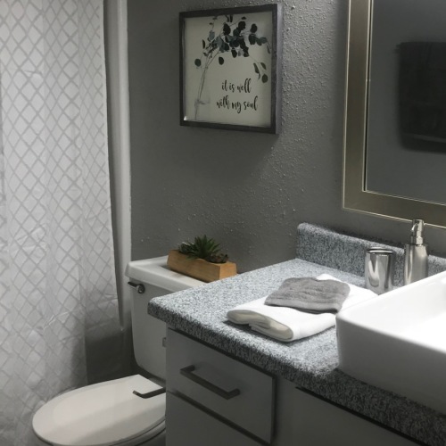 a bathroom with a shower, toilet and sink